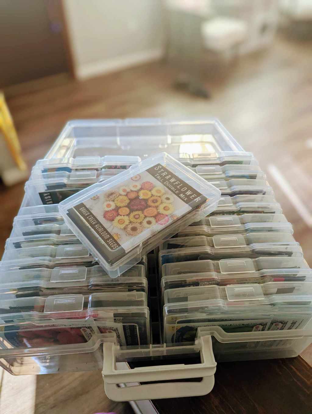 The Art of Seed&nbsp;Storage