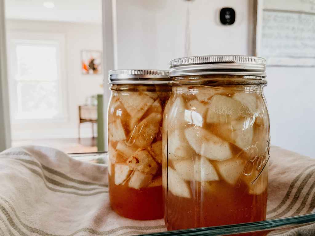 The Importance of Canning Safety: Let’s Talk Rebel Canning, Facebook Groups, and TikTok&nbsp;Recipes